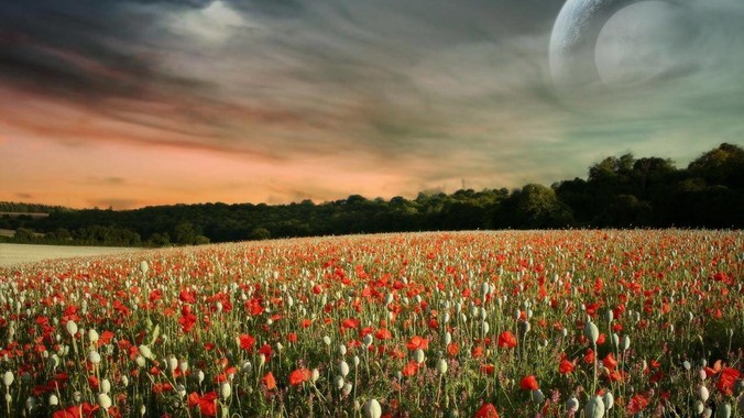 中国外交部及有关使领馆正迅速组织撤离在以、伊的中国公民，目前当地情况如何？